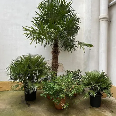 Eiffel Tower 4p - Passy - Quiet -